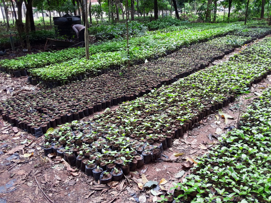 Ecorewire nursery 2024 second view