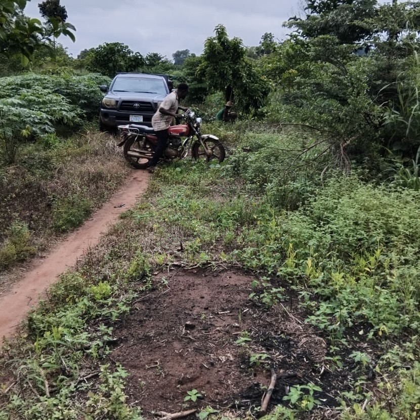 Restoration Site — view 2